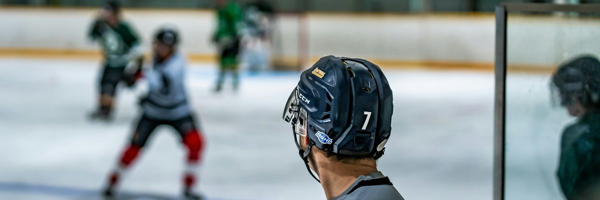 Harrastekiekko — osion kuva
